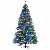 Christmas Trees Online Price Drop!