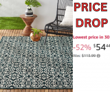 Patio Geometric Outdoor Area Rug Price Drop!