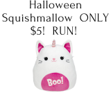 Squishmallows Halloween Cat ONLY $5! RUN!!!