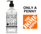 Another Penny Find At Home Depot Eucalyptus Mint Hand Soap