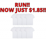 Fruit of the Loom Men’s T-Shirt Just $1.85 Each!!