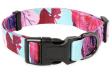 Pet Collars Double Discount Find On Amazon! Prices Starting At $3.50