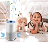 Double Discount On This Air Purifier On Amazon!