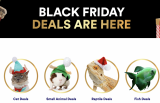 Petcos Black Friday Deals Are On!