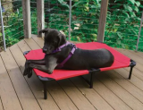 Large Elevated Pet Bed Huge Price Drop Today Only!!!