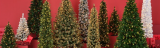 Christmas Trees Now 60% Off! 