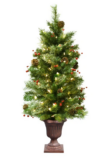 3.5′ Lighted Christmas Tree Closeout DEAL OF THE DAY!