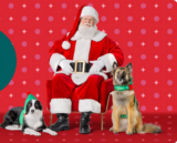 FREE PetSmart Santa Photos Coming Soon!