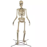 GO! Home Depots Giant Skeleton Halloween Decorations AVAILABLE ONLINE!