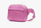 HOT DEAL! Kate Spade Belt Bag 73% OFF!