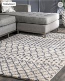 HUGE DISCOUNT! Nuloom Area Rugs Over 80% Off PLUS Additional 10%!