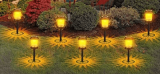 Solar Pathway Lights Price Drop with Code and Free Shipping!