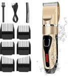 Huge Markdown On Golden Electric Men’s Hair Clipper On Amazon