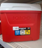 Igloo 28QT Cooler Only $8!!