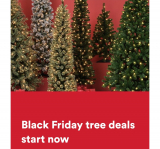 Black Friday Tree Deals 60% OFF