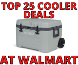 Walmart Coolers on Sale – Top 25