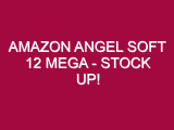 Amazon Angel Soft 12 Mega – STOCK UP!