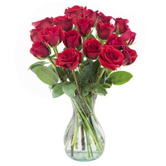 Arabella Bouquets Farm Direct Bouquet of 18 Fresh Cut Red Roses in...