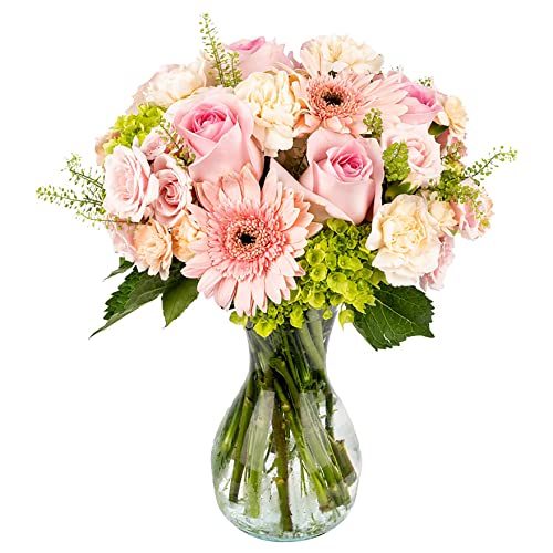 Delivery by Tuesday, 24th May Arabella Bouquets Fresh Cut Sweet Angel Flowers with Vase, Pink