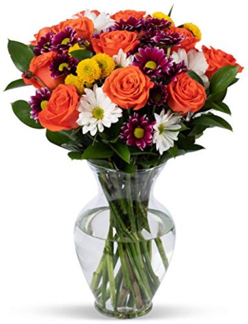 Benchmark Bouquets Life is Good Flowers Orange, With Vase (Fresh Cut Flowers)