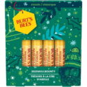 Burt's Bees 100% Natural Moisturizing Lip Balm Gift Set, 4 Count