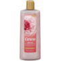 Caress Body Wash Daily Silk Floral Oil Essence 18 oz 532 ml (Pack of 2)