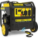 Champion Power Equipment 200953 4250-Watt Open Frame Inverter, Remote Start