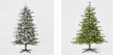 50% OFF Christmas Trees! – TODAY ONLY!!