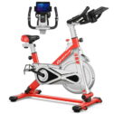 Costway Goplus Stationary Indoor Exercise Bike