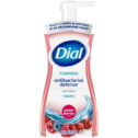 Dial Antibacterial Foaming Hand Wash, Power Berries, 7.5 fl oz