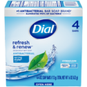 Dial Bar Soap Spring Water 8/4 4.0oz