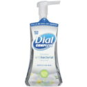 Dial Complete Foaming Hand Wash Soothing White Tea 7.50 oz (Pack of 4)