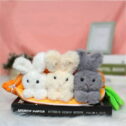 Easter 3 Bunnies in Carrot Purse - Happy Easter Bunny Rabbit Decor - Plush Stuffed Animal Surprise Zip Up Carrot...