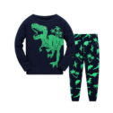 Edvintorg 2-10Years Toddler Boy Clothes Clearance Fashion Cute Dinosaur Printed Casual Long Sleeve Round Neck Tops and Pants Sets Kids...