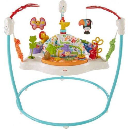 Fisher-Price Animal Activity Jumperoo with Music, Lights & Sounds