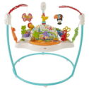 Fisher-Price Animal Activity Jumperoo - Baby jumper