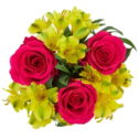 Fresh-Cut Rose and Flower Mini Bouquet, 6 Stems, Colors Vary