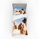 Funny Duvet Cover Set, Cat and Dogs Domestic Home Pets Friends Hilarious Expressions Sky Clouds Collage, Bedding Set with Shams...