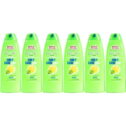 Garnier Fructis Daily Care 2-In-1 Shampoo And Conditioner, 17.3 Ounce (Pack of 6)