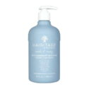 Hairitage Wash It Away Anti-Dandruff Shampoo | Dandruff Treatment for Dry, Flaky, Itchy Scalp | Vegan|13 fl oz