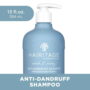 Hairitage Wash It Away Anti-Dandruff Shampoo | Dandruff Treatment for Oily, Flaky Scalp, 13 fl oz