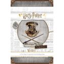 Harry Potter Hogwarts Battle Defence Against the Dark Arts Game For 2 Players Ages 11 and up