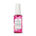 Heritage Store Rosewater and Glycerin Hydrating Facial Mist, 2 fl oz, Dry to Combination Skin