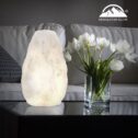 Himalayan Glow Natural White Naked Himalayan Salt Lamp (3-5lbs) by WBM