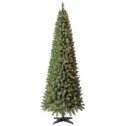 Holiday Time Pre-Lit 250 Clear Incandescent Lights Brinkley Pencil Pine Artificial Christmas Tree, 7'