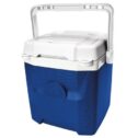 Igloo Quantum 12 Cooler