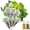 inbloom Salad Seeds Pod Kit for AeroGarden, IDOO, inbloom Hydroponics system, 7-Pods