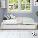 KaseDoris Twin Storage Bed, 2-Drawer Wood Platform Bed for Kids Modern Farmhouse Platform Slat Support, White