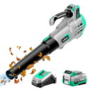 Litheli 20V Cordless Leaf AIF4 Blower, 350 MPH and Variable Speeds Electric Leaf Blower for Cleaning Leaves, Dust, Snow, Lawn,...