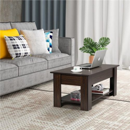 Modern Wood Lift Top Coffee Table with Hidden Compartment and Lower Shelf
